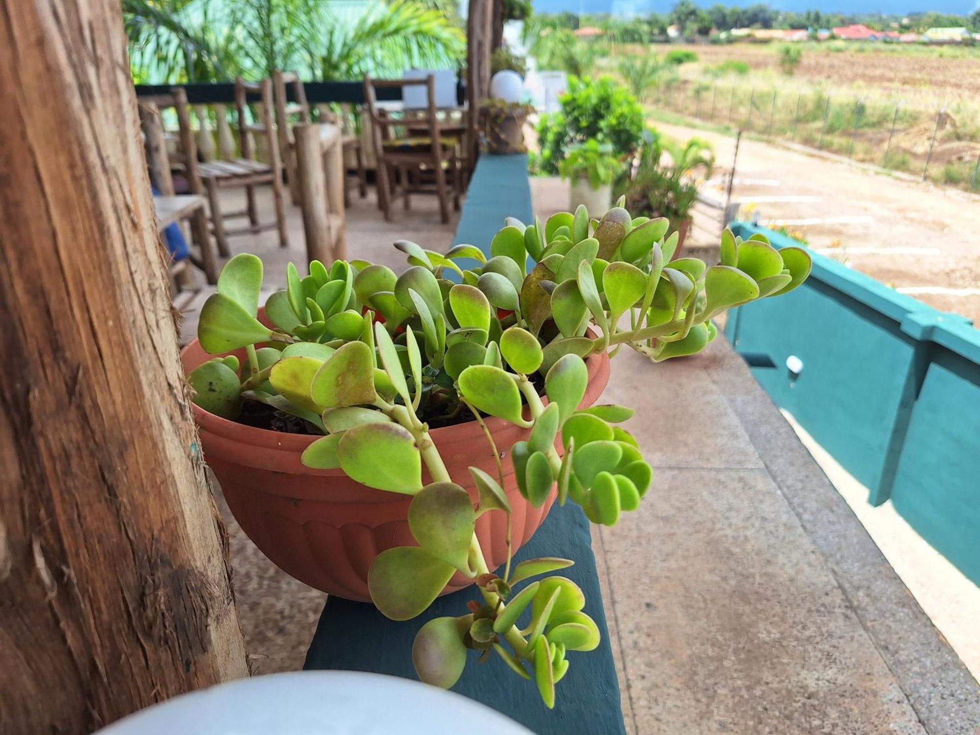 Hill View Garden Hotel Moshi Exterior photo